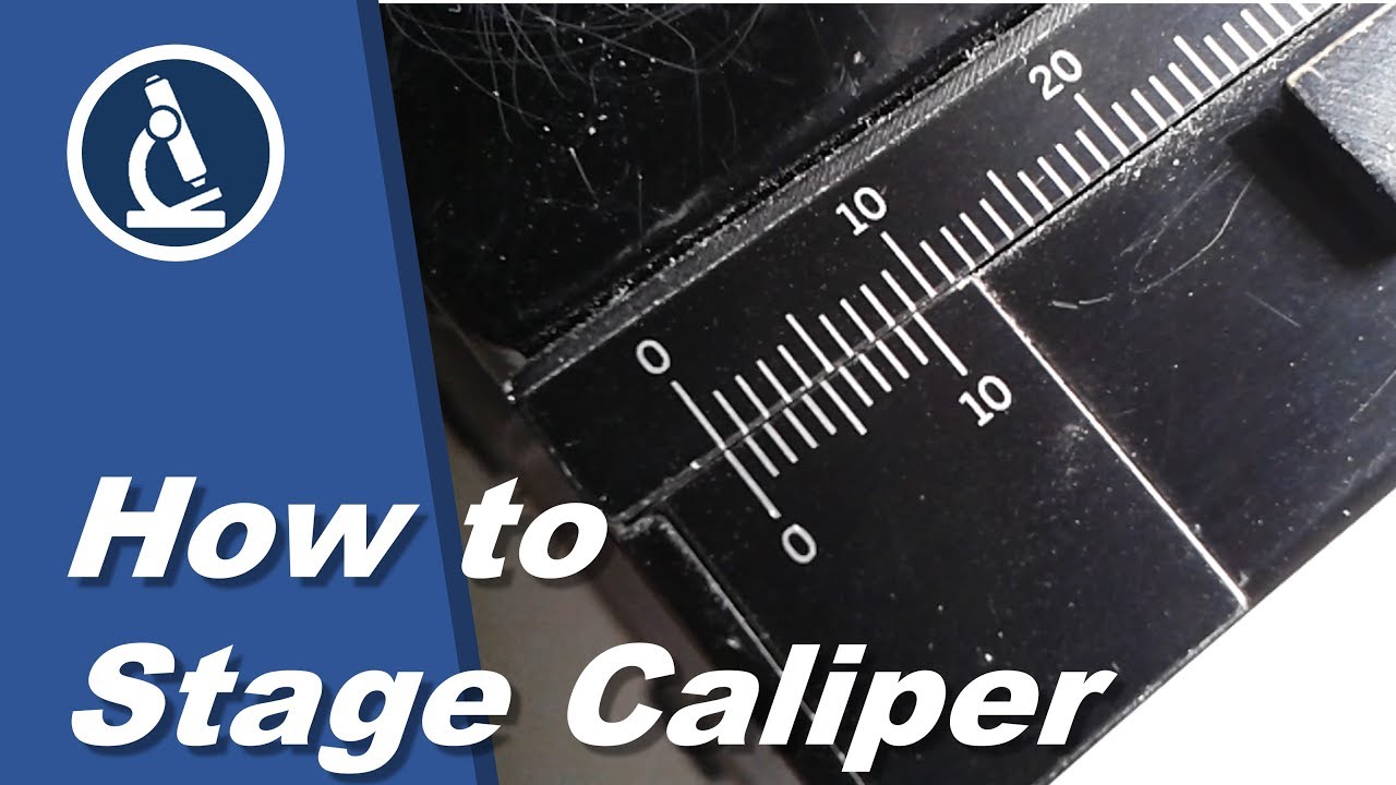 🔬 073 - What are those lines on the microscope stage good for?