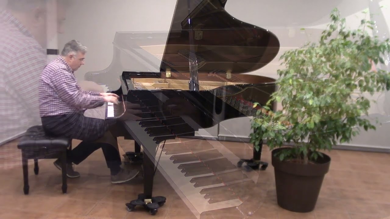 JOCS D'AIGUA de M  Ravel aup3