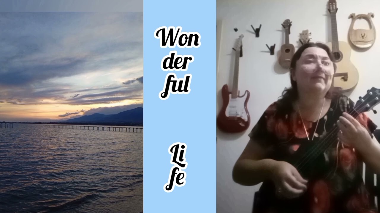 Wonderful Life 