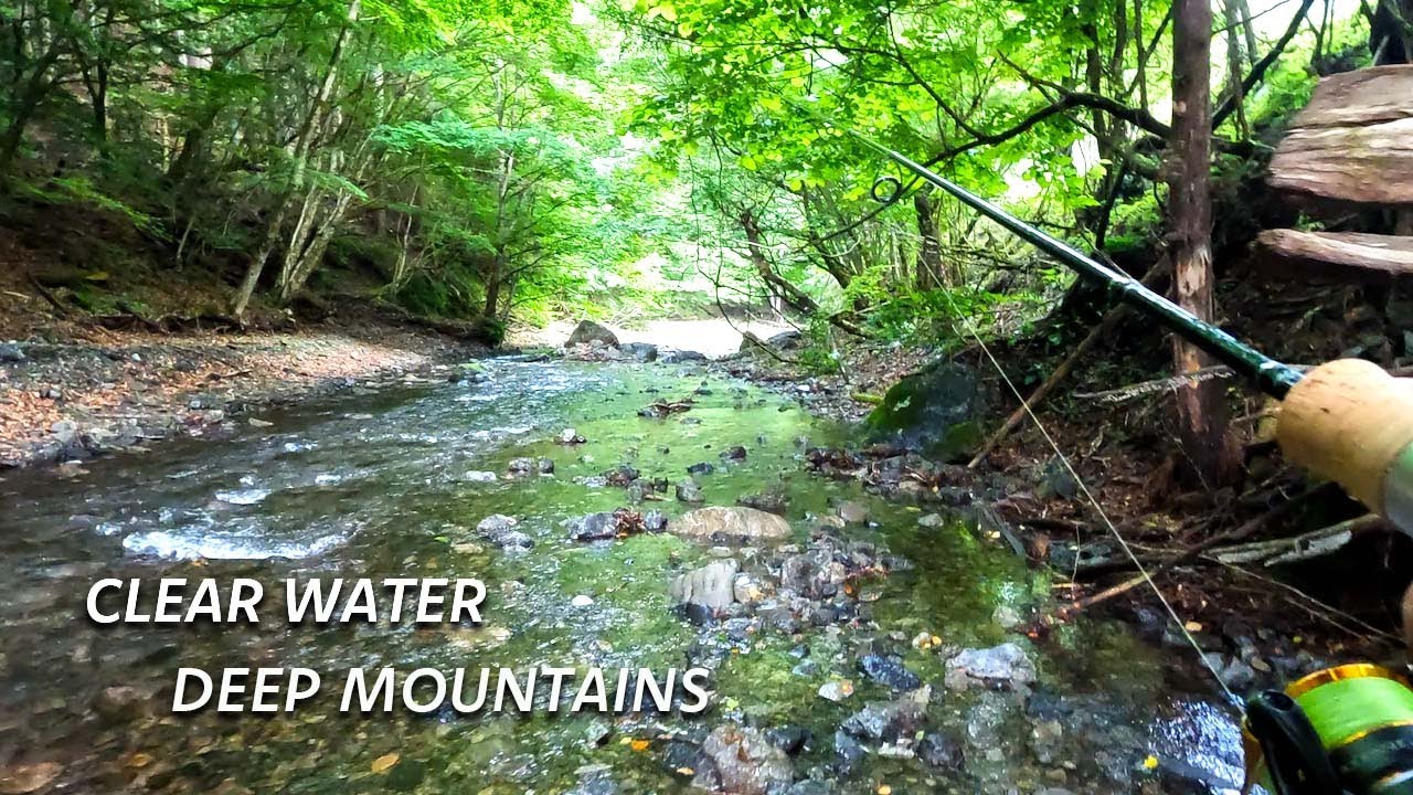 YAMAME trout fishing | Clear water flowing deep mountains | 秩父の渓流釣り