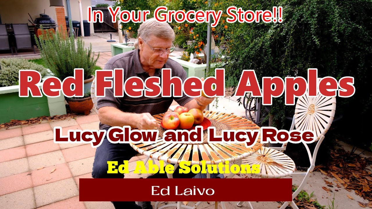 Предлагаем вашему вниманию яблоки Lucy Glow и Lucy Rose — делаем яблоки немного интереснее.