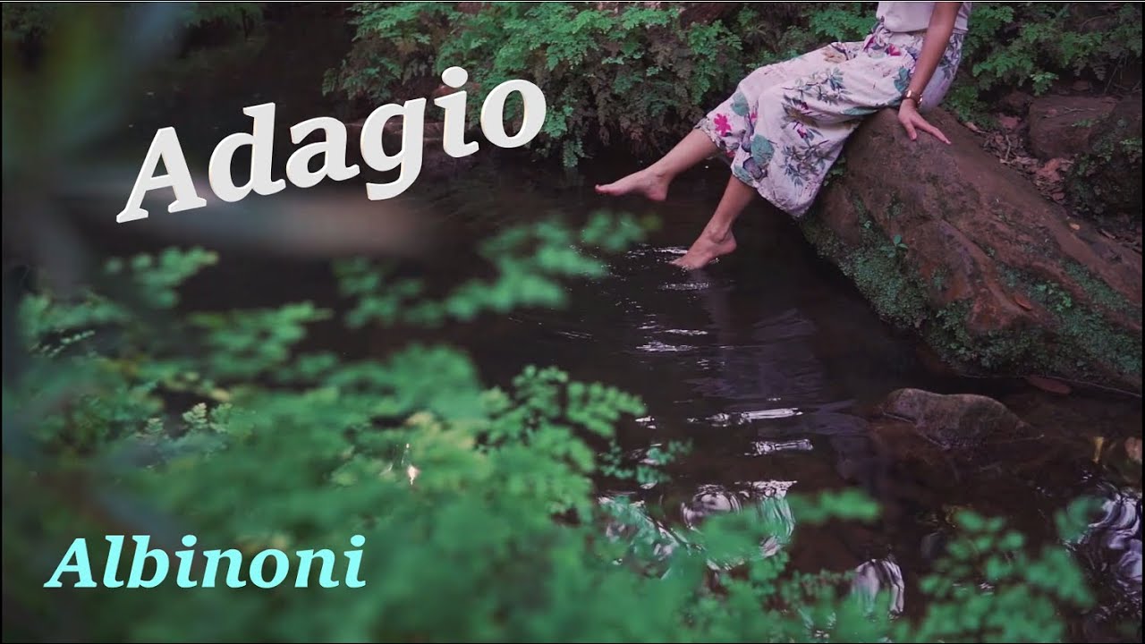 Adagio- Albinoni - Flûte traversière