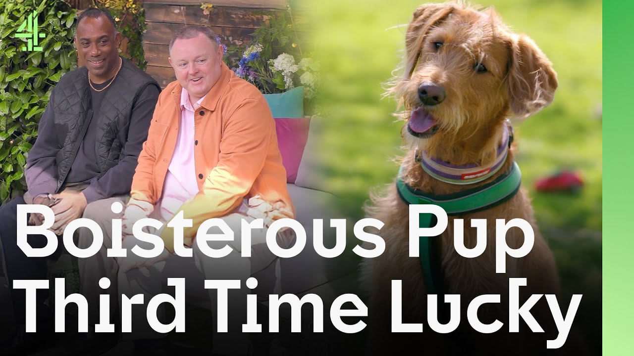Boisterous Pup Proves Why You Should Never Give Up | The Dog House 🐶