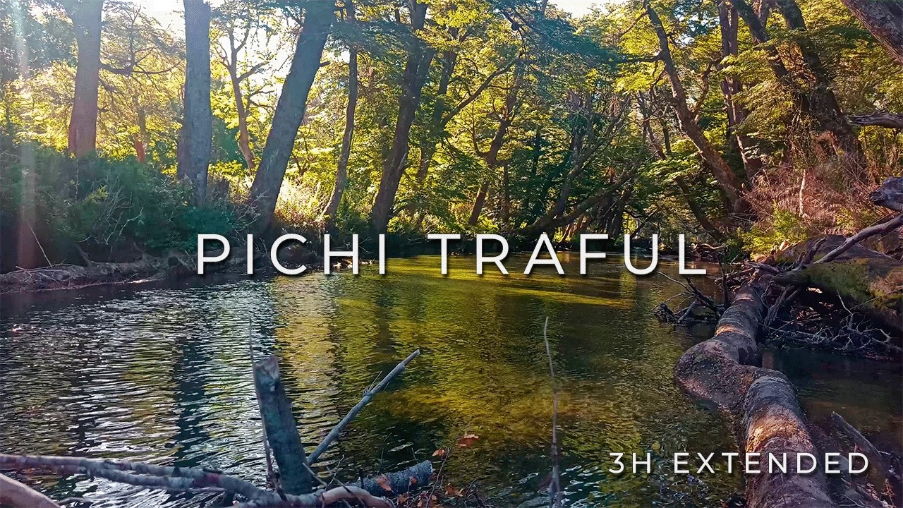3 Hours of Patagonia River Sounds 🌿 Pichi Traful River | Deep Relaxation & Sleep