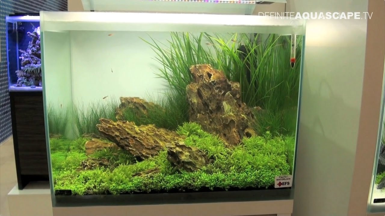 Aquarium ideas from InterZoo 2014 (pt.40) - Fluval Fresh tanks (Hagen)