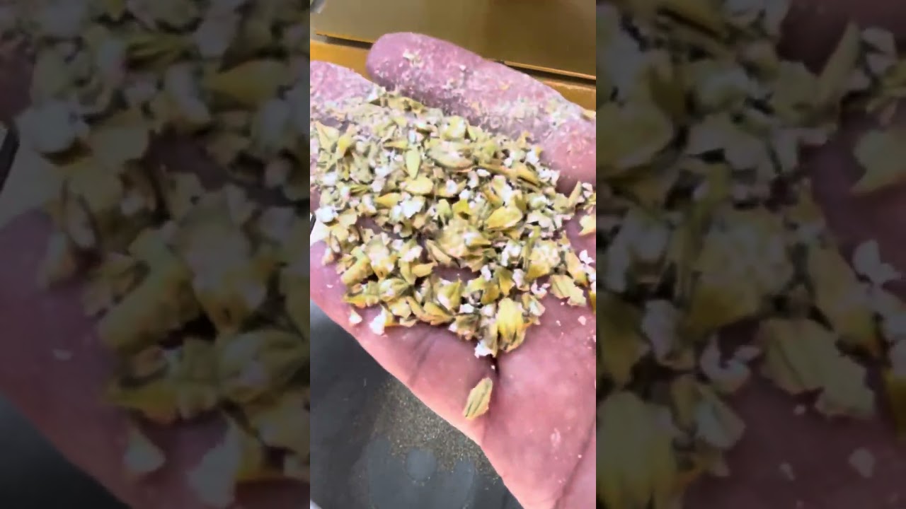 مكينة ضغط الشعير العلف اغنام