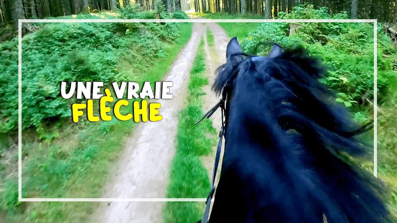 Arrêt D'URGENCE obligé 😬🚀