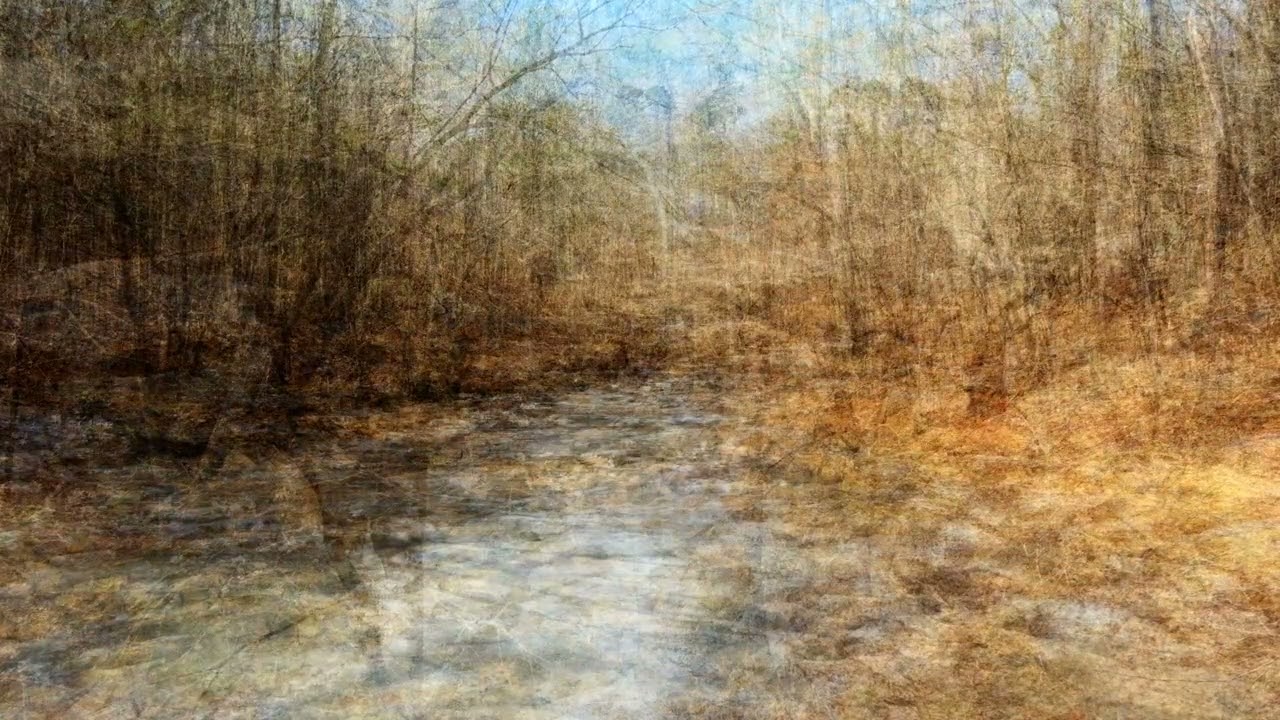 New Hope Creek in Winter