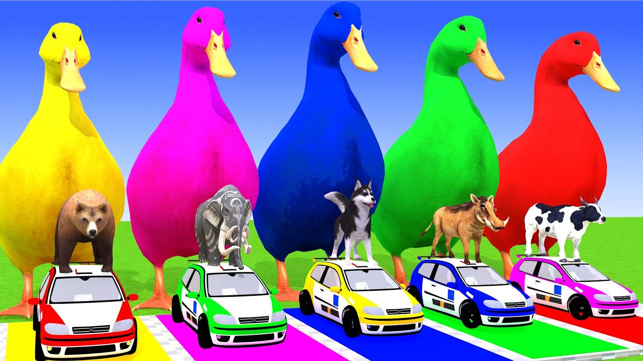 Long Slide Game With Elephant Gorilla Buffalo Hippopotamus Tiger 3d Animal Game Funny 3d Animals