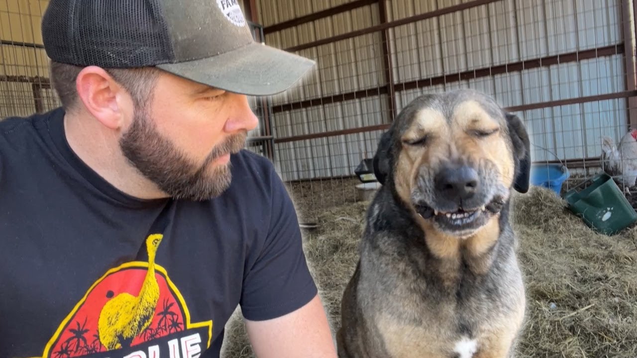 Moving Animals NEVER Goes As Planned!