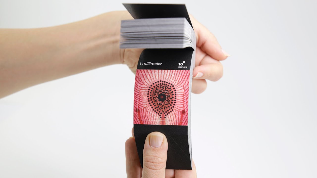 Powers of Ten Flipbook
