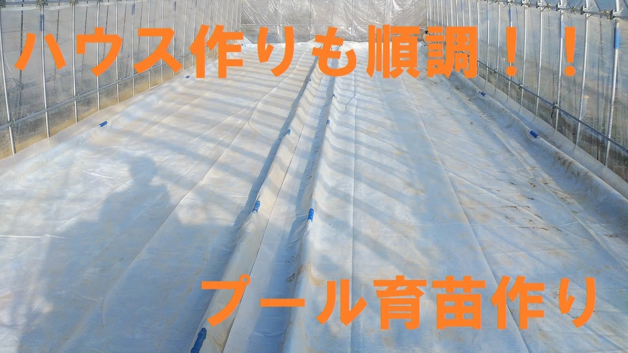 水稲ハウスのプール育苗を作っていく　ビニペットのメリットデメリット