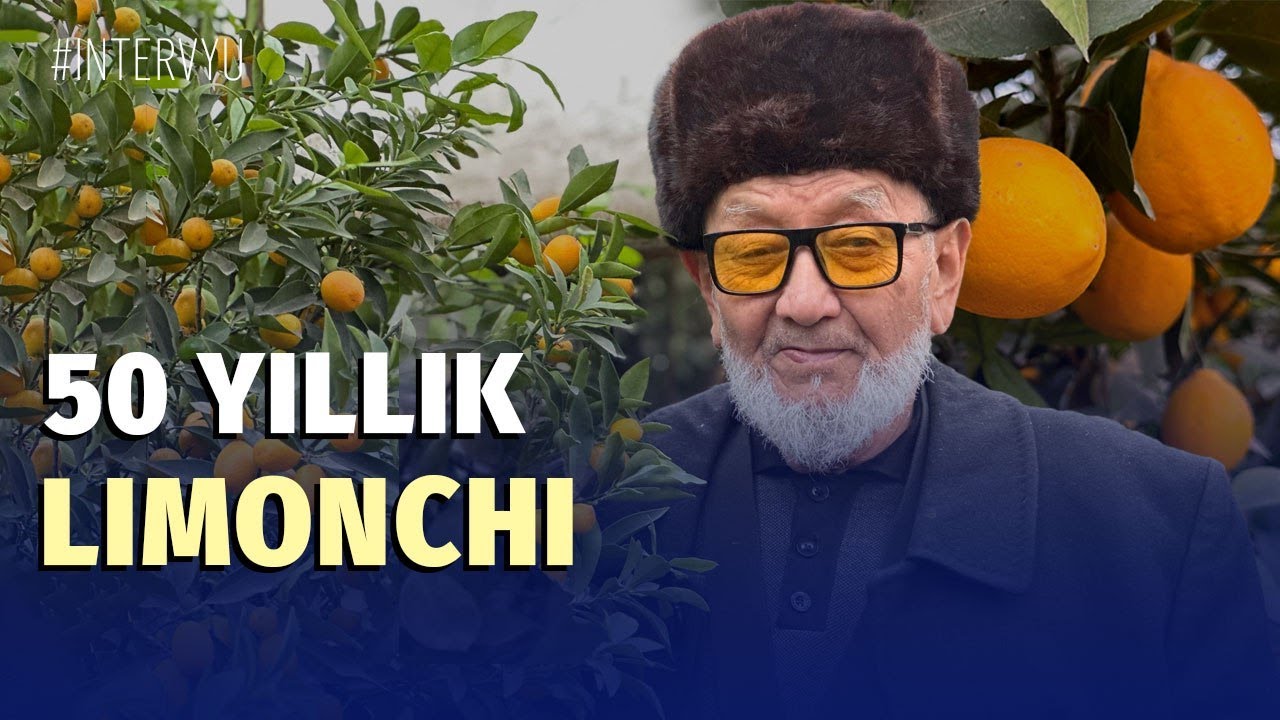 “Limonchilik sabab kasallikdan forig‘ bo‘ldim” – 250 tup limondan 10 tonna hosil olayotgan otaxon