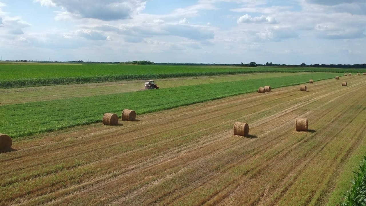 Pannon Gazda – 2026.01.30.