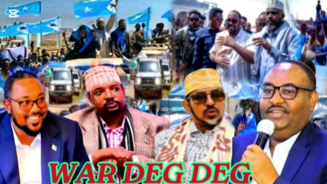 Dawo Go'aan Layaab Ley Oo Beesha Dhulbahante ka Soo Saaray Ceerigaabo iyo Sababta Warsangeli Kalig