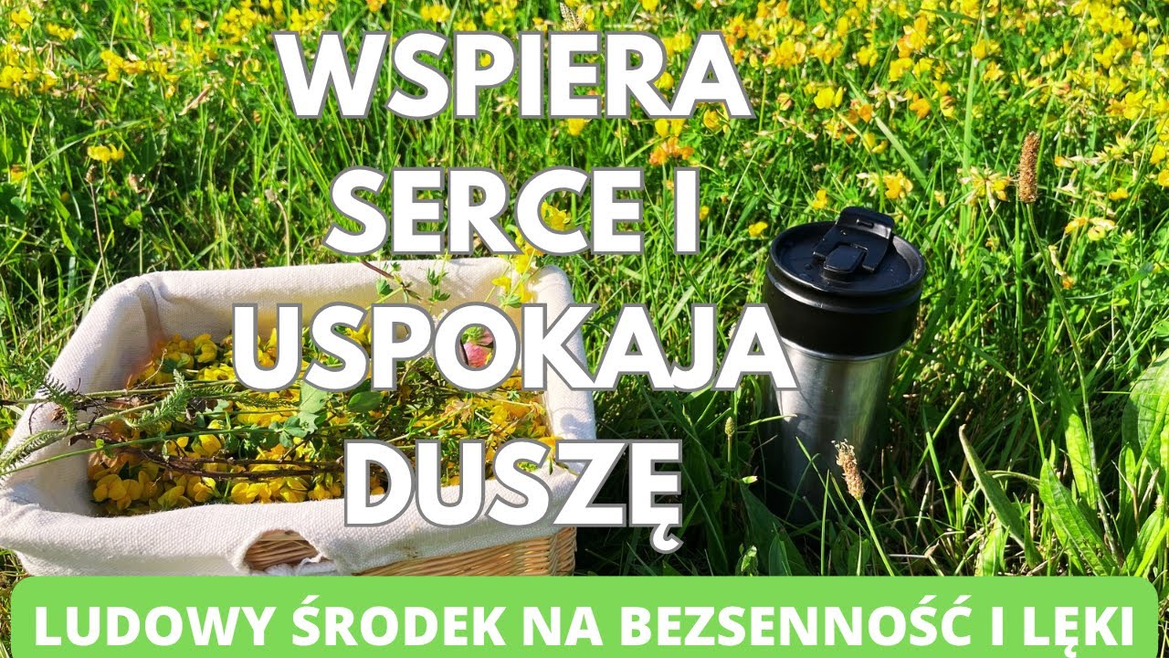 Komonica zwyczajna. Wspiera serce, uspokaja duszę. Ludowy środek na bezssennosc i lęki. 