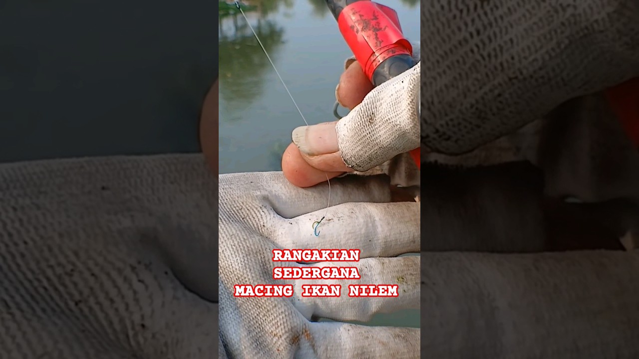 SIMPLE CIRCUIT TEST FOR FISHING NILE FISH #fishing #ytshort #ytshorts #mancingtawes @YouTube