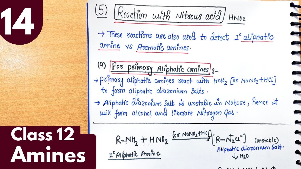 14) Reaction of amines with nitrous acid | Test for 1° aliphatic vs aromatic amines| Amines class12