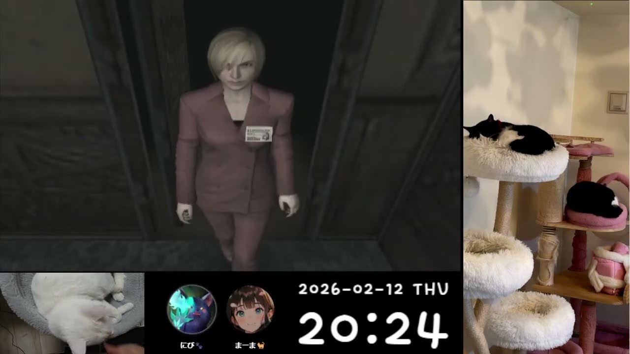 にび猫Live🐾/アウトブレイク  2026-2-12