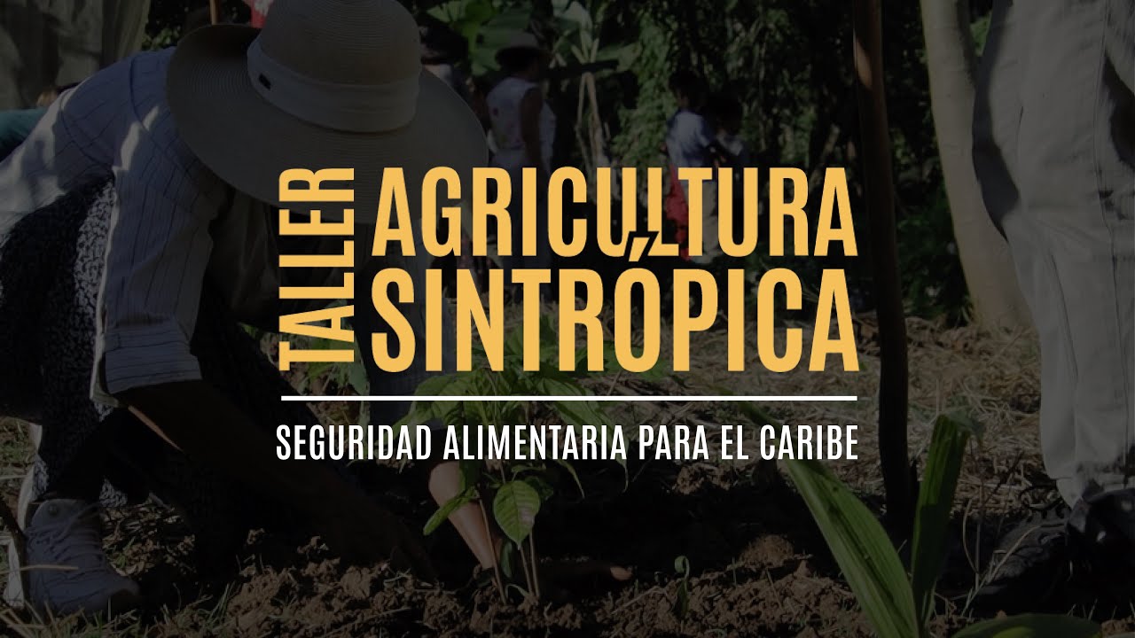TALLER teórico-práctico de AGRICULTURA SINTRÓPICA (Video promocional)