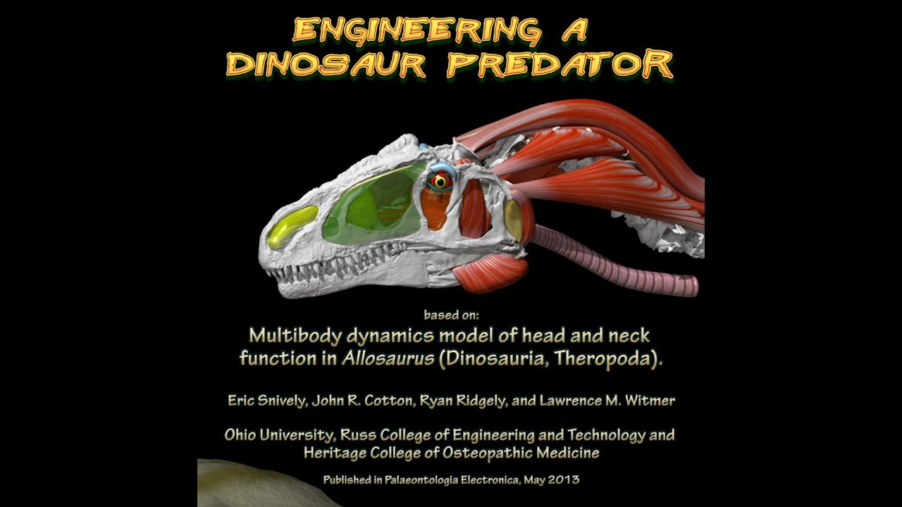 Engineering a dinosaur predator - Allosaurus feeding mechanics