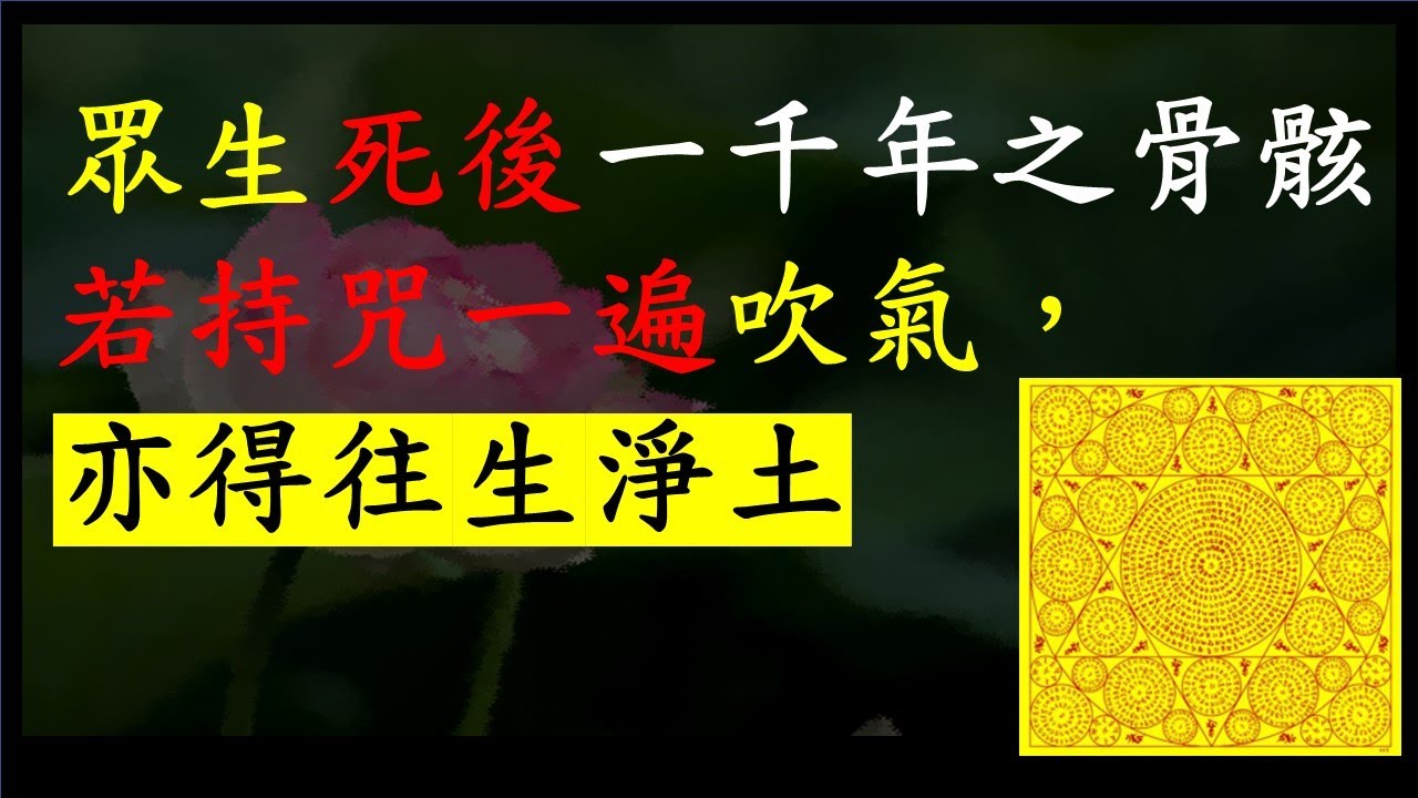 修持不空摩尼供養咒的功德利益 ｜不空摩尼供養咒｜