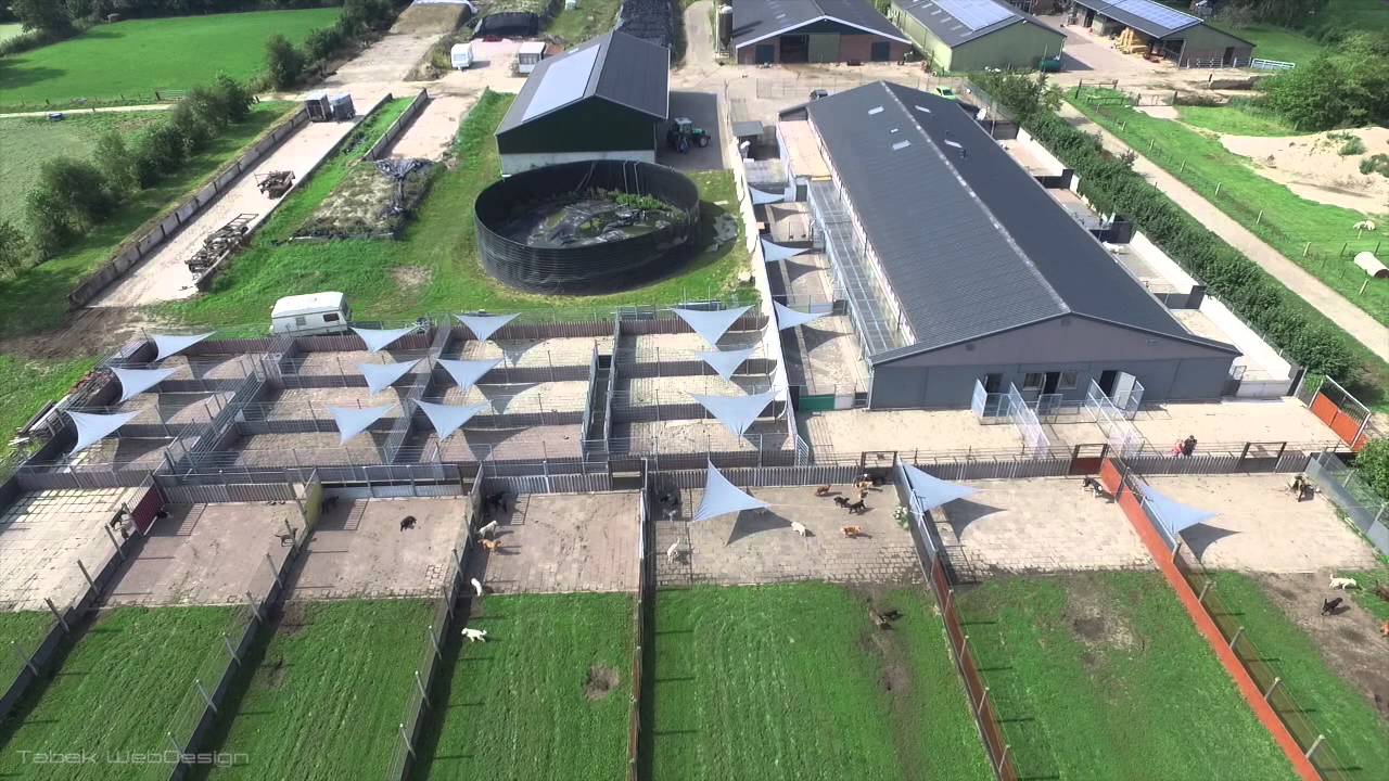 Dierenpension Beukers