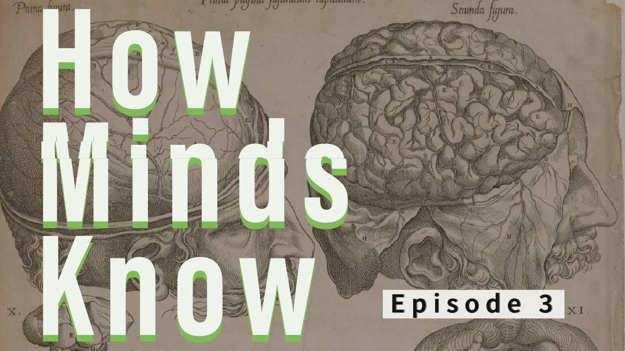 How Do Minds Know? - The Mind and the Machine: Episode 3