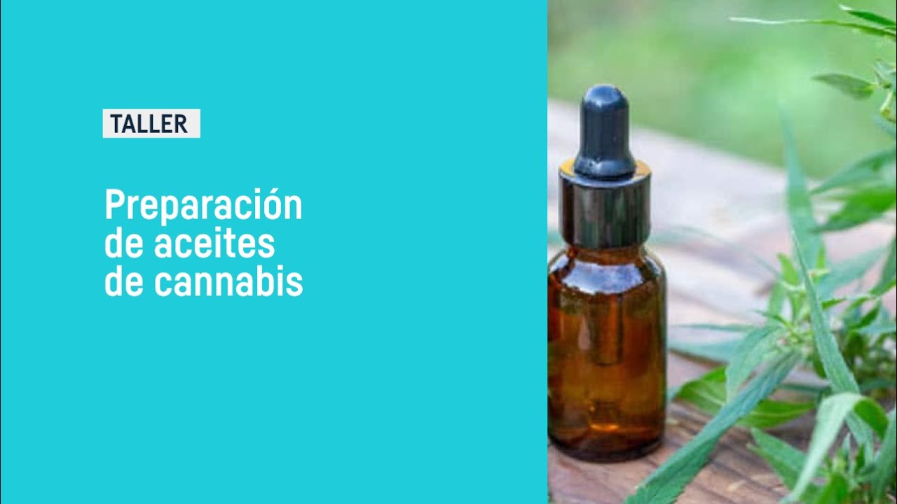 Taller de preparaci&oacute;n de Aceites de cannabis