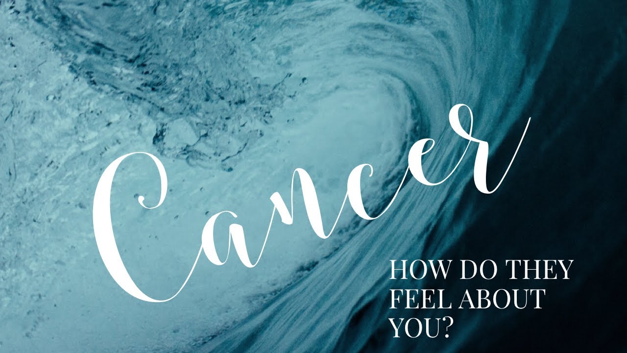 Cancer 💕 How do they feel about you? ✨ Bonus Reading