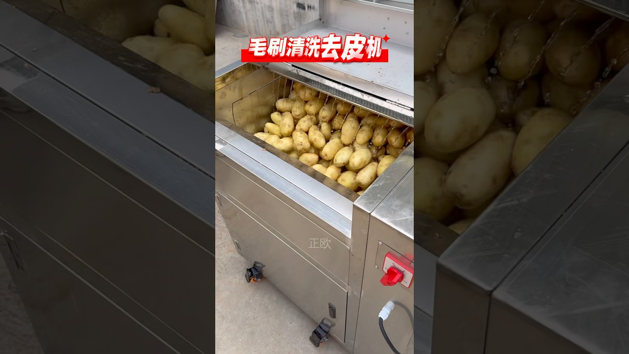 #Potato washing and peeling machine