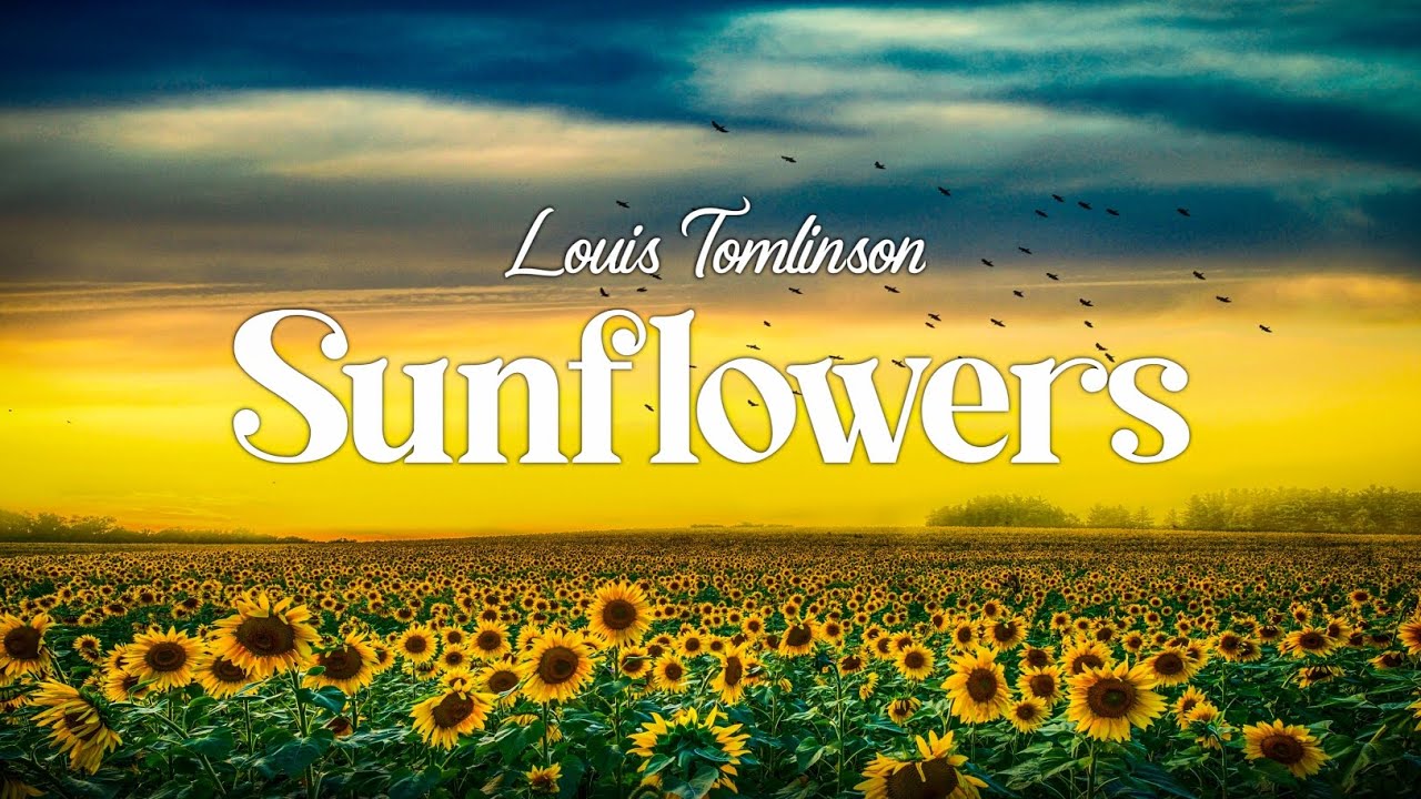 Louis Tomlinson - Sunflowers 🌻 (Lyrics)