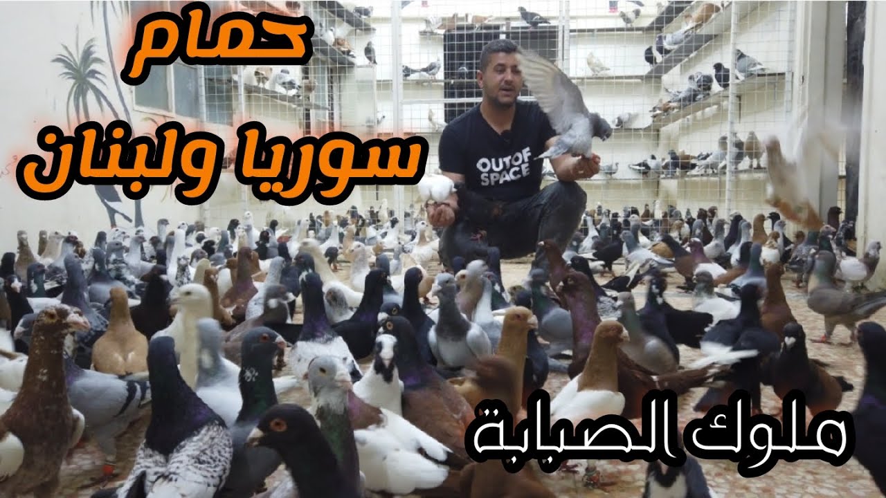 حمام الشام ولبنان اجمل وأروع حمام كش شامية والحمام عروق ابو ايهم الاسطورة