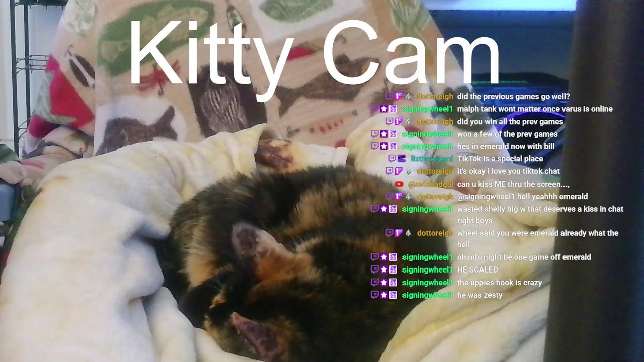 Blitz Emerald With Kitty