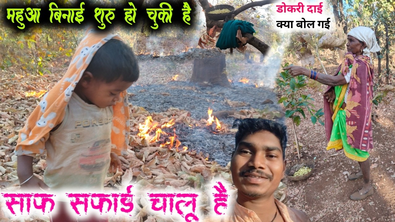 Mahua Binai | महुआ के साफ सफाई ! पहले कैसे महुआ गिरते थे | डोकरी दाई क्या बोल गाई #ravanvlogs