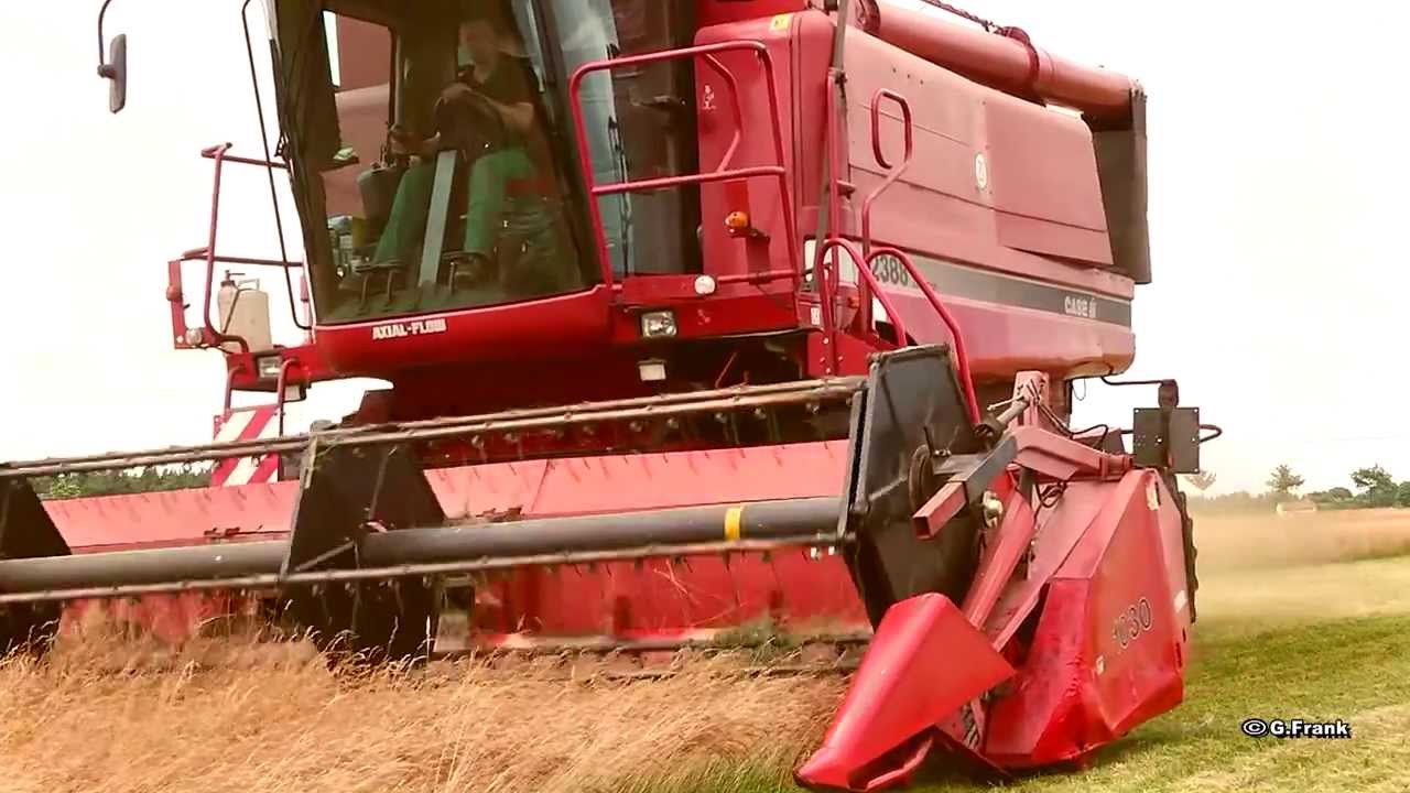 Case-IH 2388 & 8010 Axial-Flow Mähdrescher  Grassamen Ernte ( Schafschwingel )