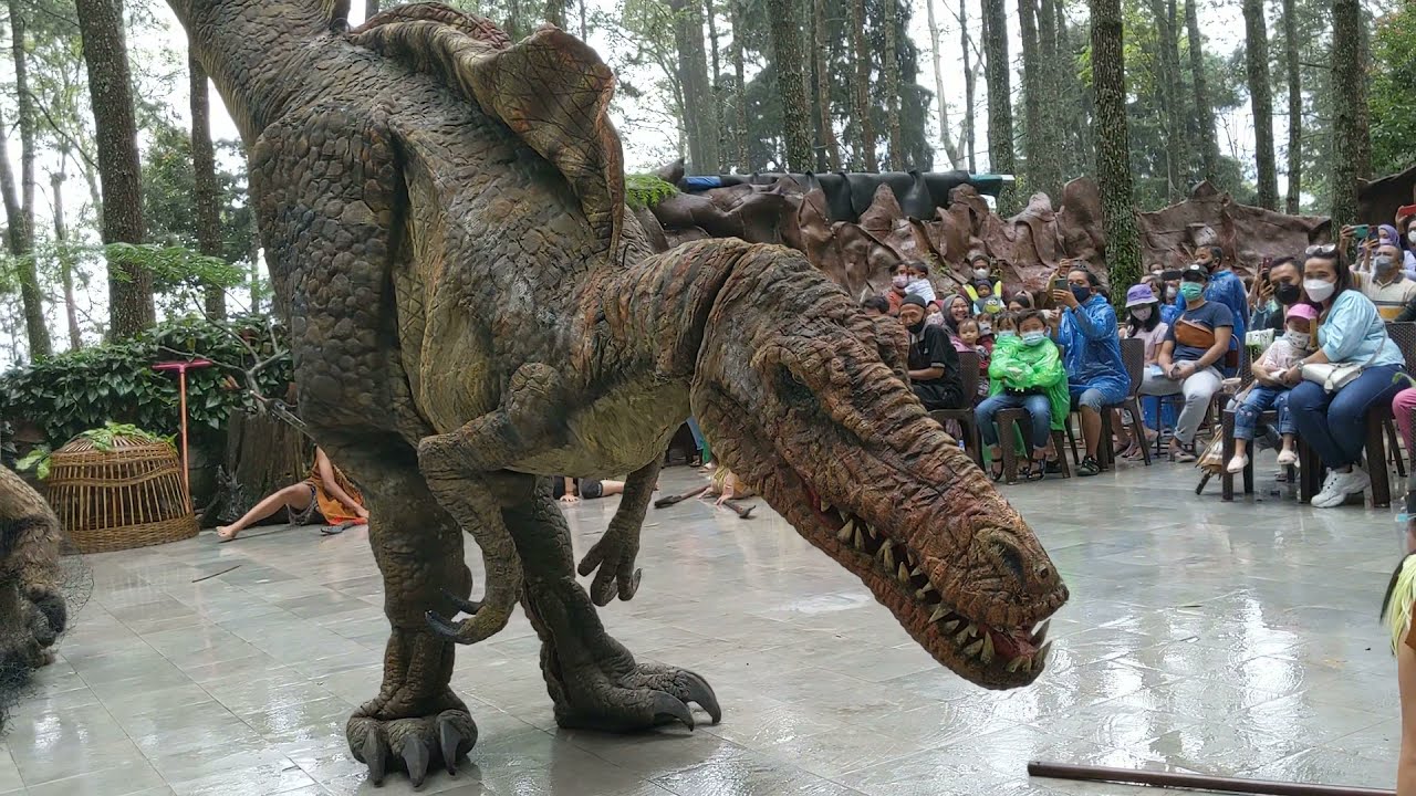 Dinosaurus Show Mojosemi || Drama Musikal Cerita Dinosaurus