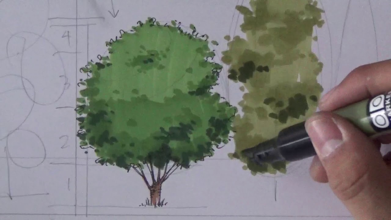Arboles para Representación Arquitectónica. Parte 1