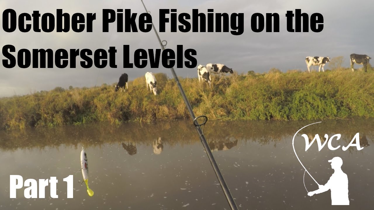 Pike Fishing with Lures on the Somerset Levels - Part 1