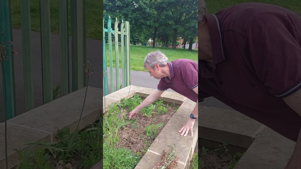 Meet the Friends of Eston Cemetery