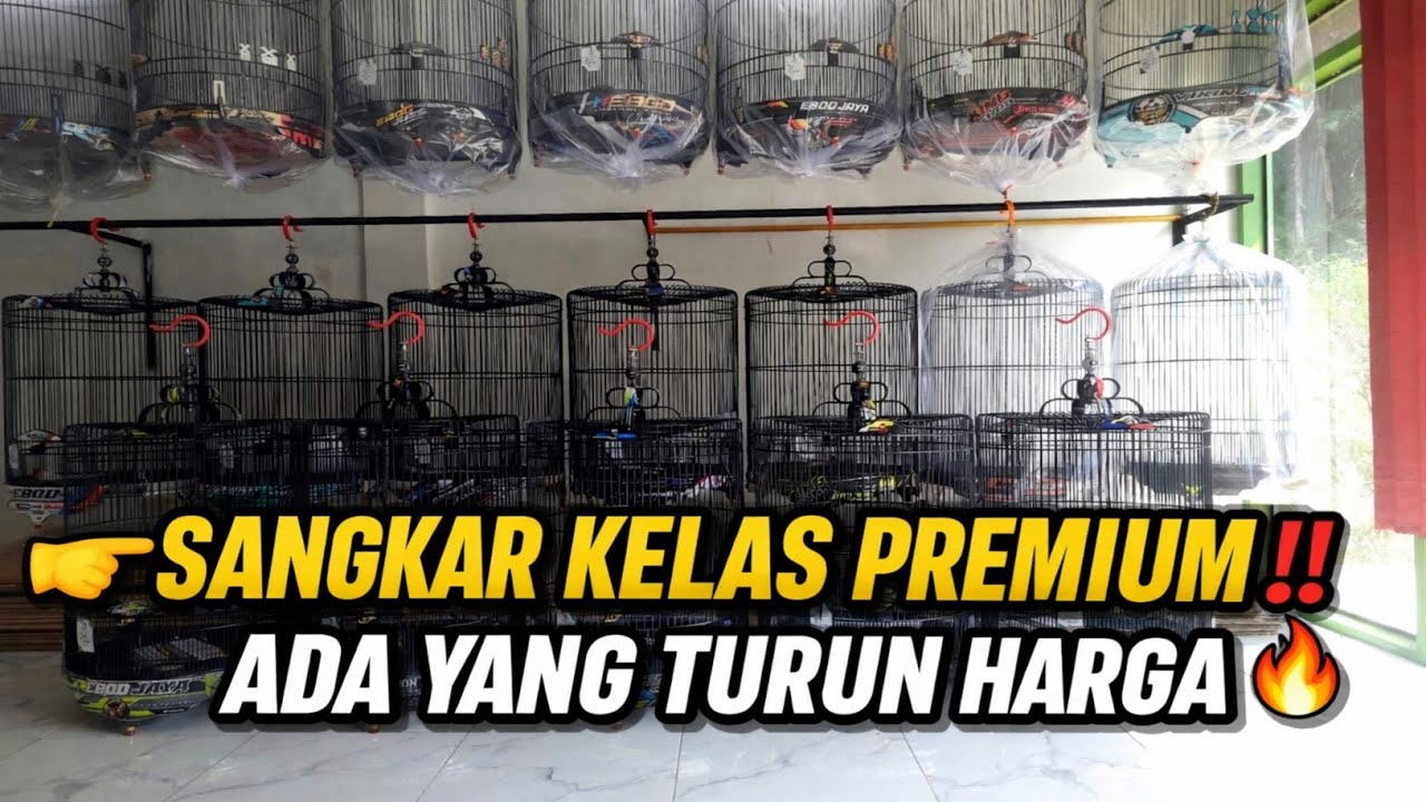 UPDATE HARGA SANGKAR TERBARU 2026‼️KIOS RIZKI SANGKAR PASAR REBO JAKARTA TIMUR