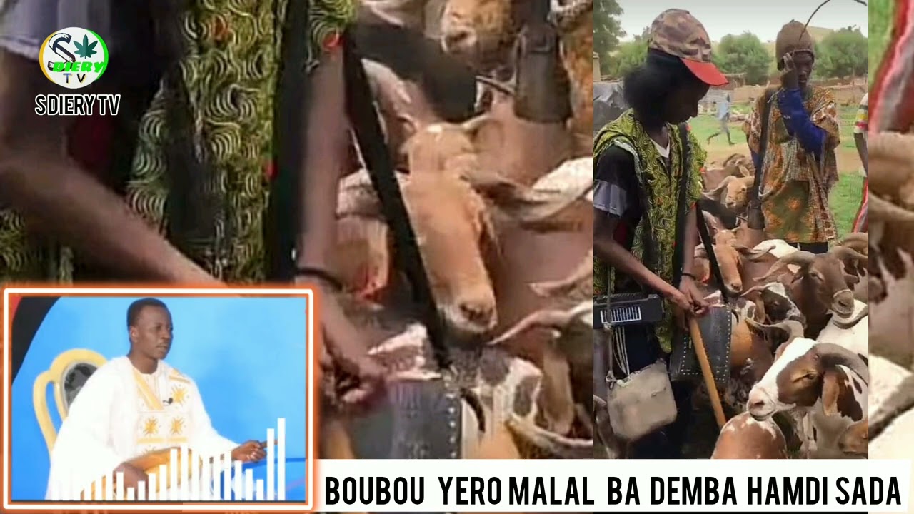 Boubou Yero Malal Ba Demba hamdy Sada@DIERYTVTELEVIONAINABE @2stvsenegal 