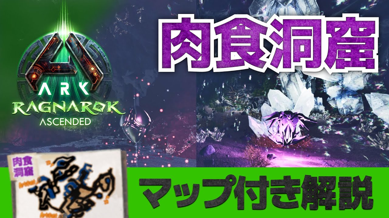 【ARK/ASA:ラグナロク】肉食の洞窟｜洞窟内マップ付き解説｜複雑な洞窟内を調査！免疫と狡猾のアーティファクトのみ？クレートはなさそう