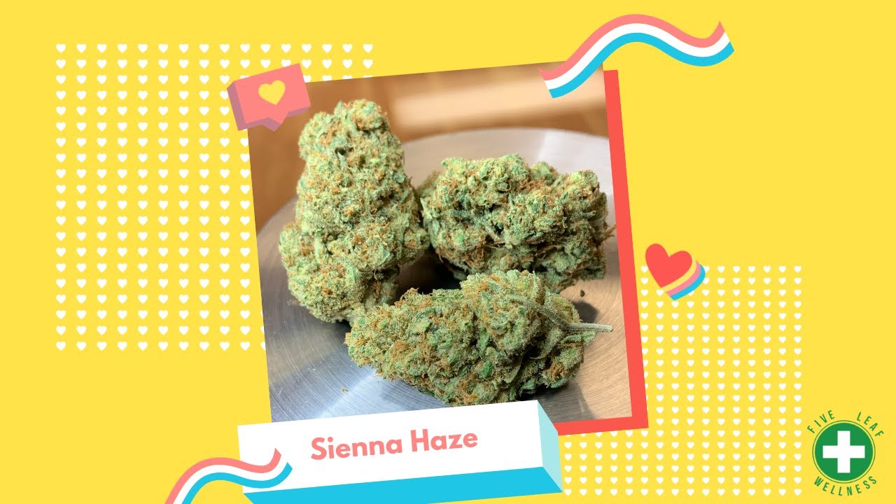 FLW New Strain Review: Sienna Haze