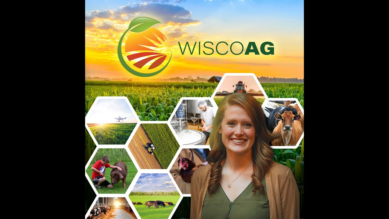 Report: Class and All Milk Price Forecasts for This Month, pork production