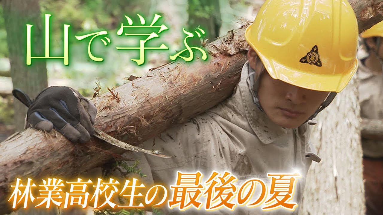 【先生は大自然】巨木の伐採に挑戦も･･･“林業高校生”の最後の夏に密着【京都】