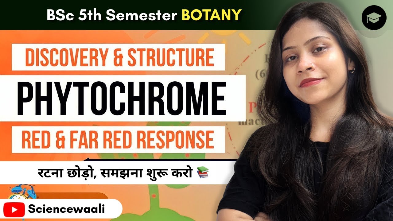 Phytochrome in plants BSc 3rd year || Photomorphogenesis in plants BSc 3rd year