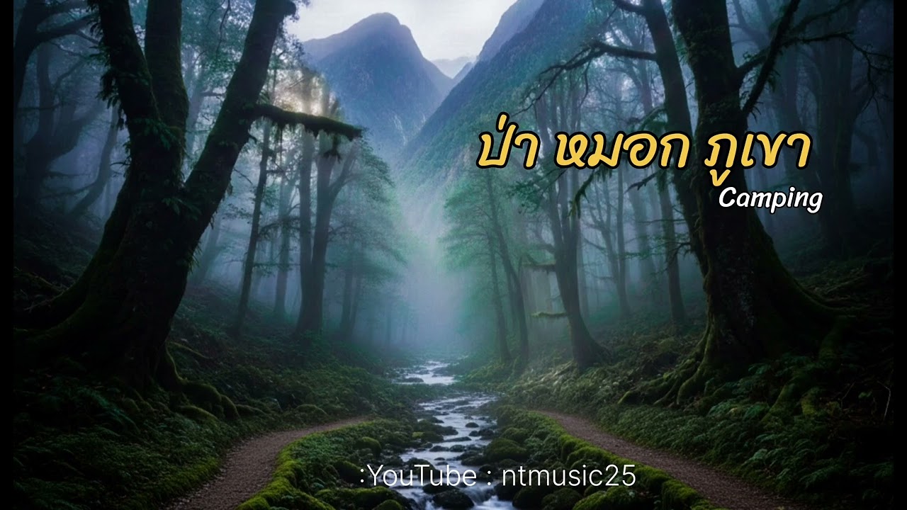 เพลง ป่า หมอก ภูเขา #เพลงcamping  #เพลงใหม่ล่าสุด #เพลงเพราะๆ