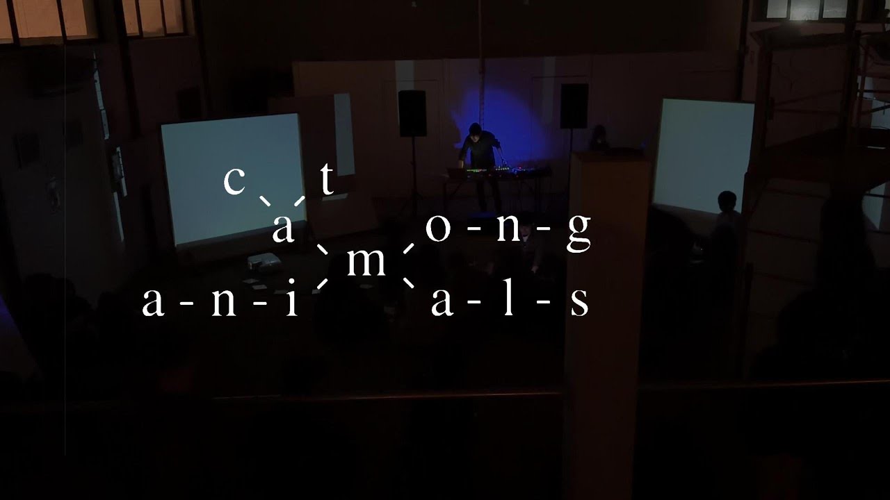 Cat Among Animals - Live Touchdesigner Audio Visual Performance by Steve Pan & Nicholas Marriott