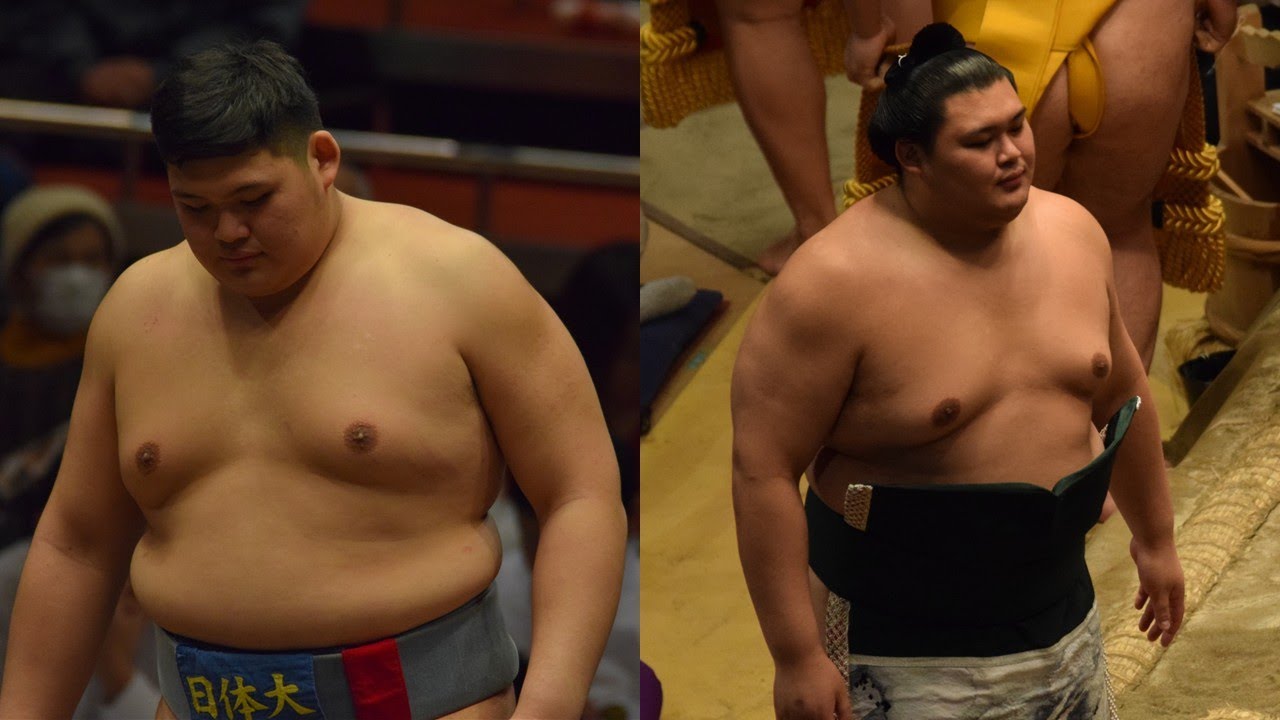 Ёкодзуна Оносато: Путешествие вблизи